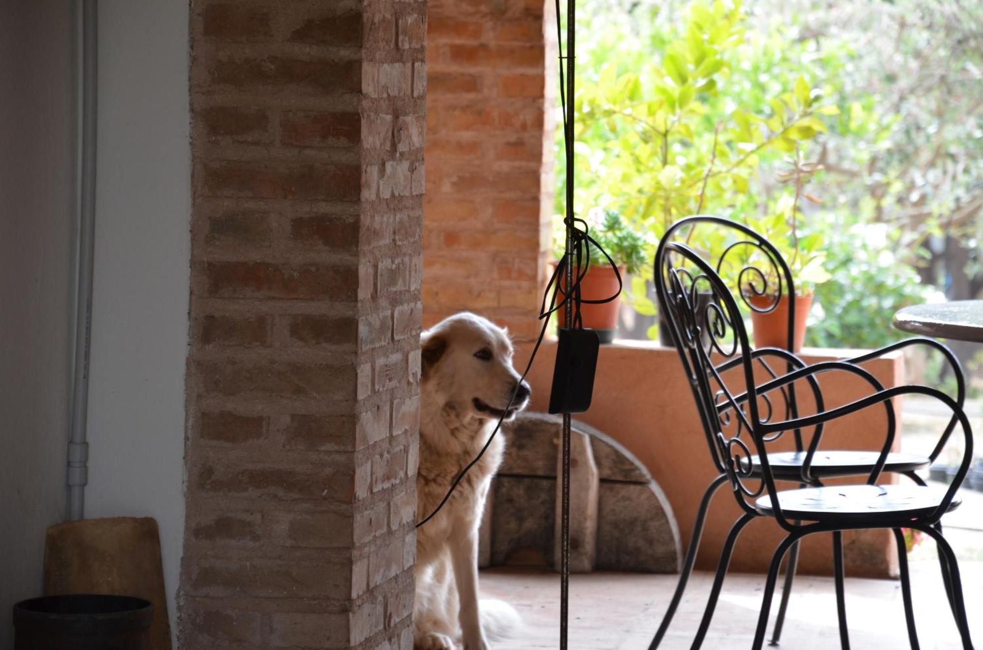 Borgo Piazza Bed & Breakfast Catanzaro Phòng bức ảnh